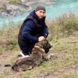 Денис Ерин | Дрессировка собак | Chat