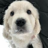 лост ин дарк