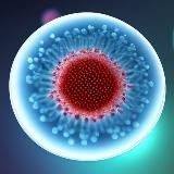 ciencia y tecnología 🧪