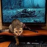 Фильмы, мультфильмы, аниме (семейный канал)