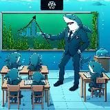 SHARK COMPANY