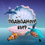 Подводный мир