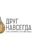 Приют Друг Навсегда🐕🦺