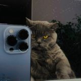 Вɜᥲᥙʍныᥱ ᥰ᧐дᥰᥙᥴκᥙ 💚 ρᥱᥲκцᥙᥙ ᥰᥙᥲρ