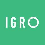 Тренинговая компания IGRO