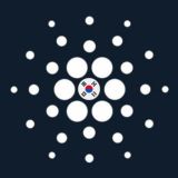 Cardano Korea Official🇰🇷