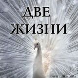 Две жизни. 4 тома. Аудиокнига