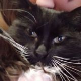 Мои мудрости