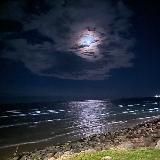 LUCKY DUCK ПРОМОКОДЫ