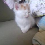 ну как всегда