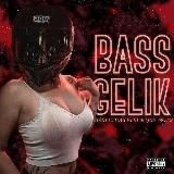 ✷ BASS GELIK ✷