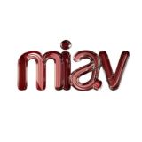 miav.vpn