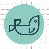 Первый Байкальский🦭