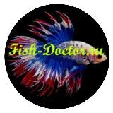 Fish Doctor 🐠