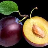 sliv’ы студии 69🔞