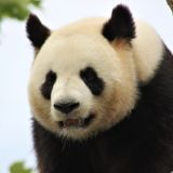 Роман Т.👨👩👧👦🇷🇺🇨🇳