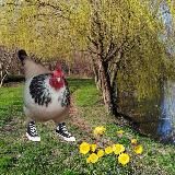 Птичий рынок