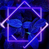 🔮Силиконовая долина🔮
