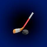 Хоккей в Санкт-Петербурге!