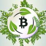 🐢Green Cash | ЧАТ🐢