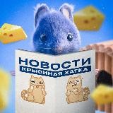 Крысиная хатка | НОВОСТИ