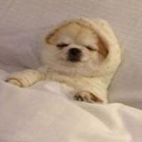 Шутки на пять