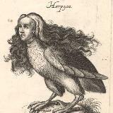 Гарпия