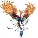 Райские птицы