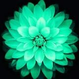 Музыка😌🎧 для🙏 меня❤️❤️😍