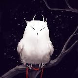 FSG OWL FAMILY | i.iowl