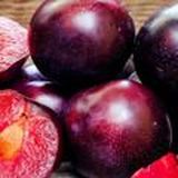 рефреш предбанник онлайн школы сливы егэ огэ