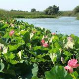 Землячество "Астраханцы"