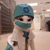 Чат Студенты - Медики