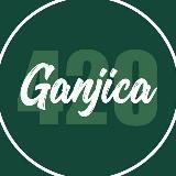 QUANTOMAR ⚛ ДИЗАЙН БУДУЩЕГО