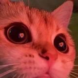 ебанутый гороскоп