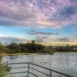 Защитим Озеро и Свиягу на Шолмова