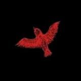 crimina memória - Криминал | Новости