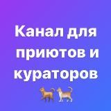Собаку пристрой! Кота отдай! (кураторы ПС)