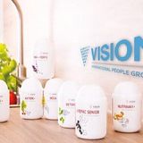 VISION INTERNATIONAL PEOPLE GROUP