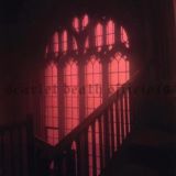 𝙶𝙾𝙻𝙳𝙴𝙽 𝙺𝙸𝙽𝙶𝙳𝙾𝙼