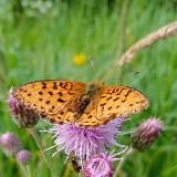 Мир волшебства