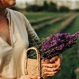 Цветочная ферма "Лавандовый берег"