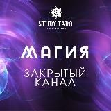 Марафон живой магии | StudyTaro