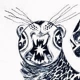 параграфика