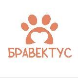 БРАВЕКТУС