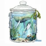 Море в банке