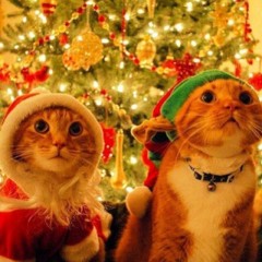 Будка Элис АРХИВ