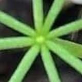 Хрінь ShitPost 💻