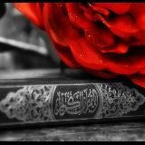 Красивые цытаты и фотки