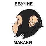 Ебучие макаки